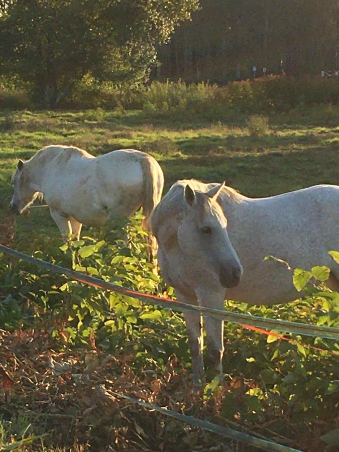 Gite Orget Saint-Macaire Exteriér fotografie